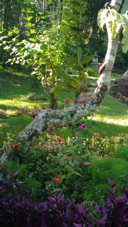 Balian Bliss Retreat Resort - Adults Only Exterior photo