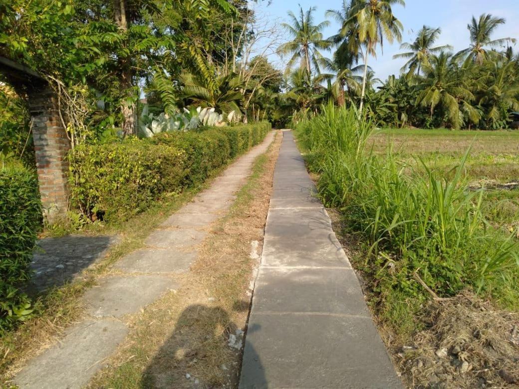Balian Bliss Retreat Resort - Adults Only Exterior photo
